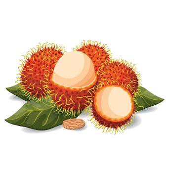 Rambutan