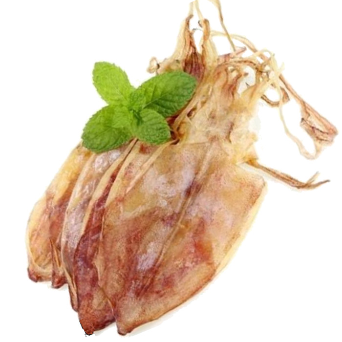 Dried Squid